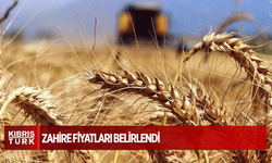 Zahire fiyatları belirlendi: TÜK alımlara Pazartesi başlıyor