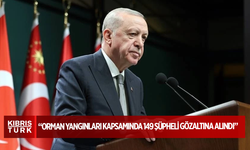 Erdoğan: Orman yangınları kapsamında 149 şüpheli gözaltına alındı, 38 kişi tutuklandı