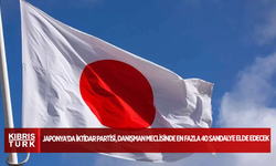 Anket: Japonya'da iktidar partisi, Danışman Meclisinde en fazla 40 sandalye elde edecek