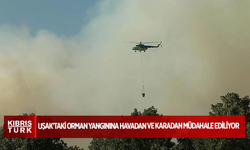 Uşak'taki orman yangınına havadan ve karadan müdahale ediliyor