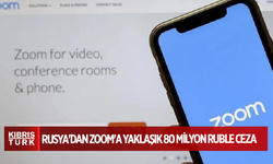 Rusya'dan Zoom'a yaklaşık 80 milyon ruble ceza