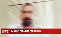 Kedi katiline 1 ay hapis cezası verildi !