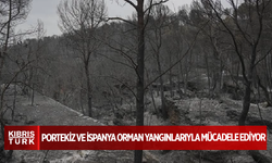 Portekiz ve İspanya orman yangınlarıyla mücadele ediyor