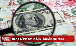 ABD'de gümrük vergisi gelirleri rekor kırdı