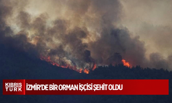 İzmir'de bir orman işçisi şehit oldu