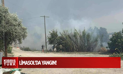 Limasol’un dağlık bölgesinde hızla yayılan yangın Vuni ve Potami’ye doğru ilerliyor