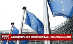 AB'den Temu'ya yasa dışı ürünle mücadele konusunda suçlama