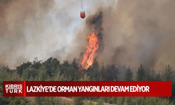Lazkiye'de orman yangınları devam ediyor: AB'den destek talep edildi