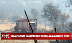 Limasol’un dağlık bölgelerindeki yangın için uluslararası destek istendi!
