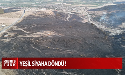 Çanakkale'de orman yangını! Bölgeden kahreden görüntüler
