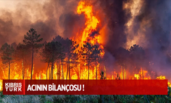 Orman yangınları bilançosu belli oldu! Bakan Yerlikaya il il açıkladı