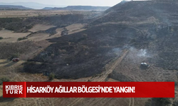 Hisarköy Ağıllar Bölgesi’nde yangın: Yaklaşık 73 dönümlük alan küle döndü