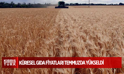 Küresel gıda fiyatları temmuzda yükseldi
