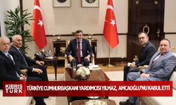 Türkiye Cumhurbaşkanı Yardımcısı Cevdet Yılmaz, Olgun Amcaoğlu'nu kabul etti
