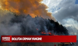 BOLU'DA ORMAN YANGINI: KARAYOLU ULAŞIMA KAPATILDI