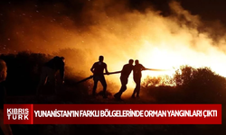 Yunanistan'ın farklı bölgelerinde orman yangınları çıktı