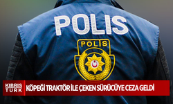 KÖPEĞİ TRAKTÖR İLE ÇEKEN SÜRÜCÜYE CEZA GELDİ...