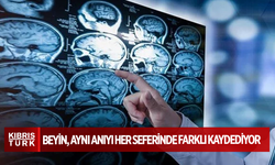 Hafızamız sabit değilmiş: Beyin, aynı anıyı her seferinde farklı kaydediyor