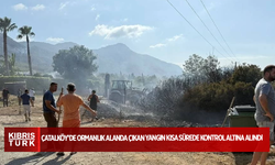 Çatalköy’de ormanlık alanda çıkan yangın kısa sürede kontrol altına alındı