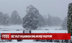 Biz yazı yaşarken onlar kışı yaşıyor! 1980'lerden bu yana böyle kar yağışı görülmedi