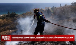 Yunanistan'da orman yangınları nedeniyle bazı yerleşim alanları boşaltıldı