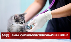 Uzmanlar açıkladı: Kedi ve köpek türünden insan ölümü mümkün mü?