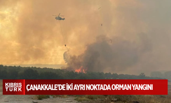 Çanakkale'de iki ayrı noktada orman yangını