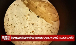 İnsanlar, günde on binlerce mikroplastik parçacığı soluyor olabilir