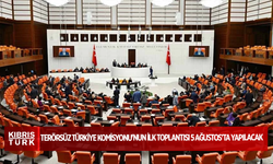 Terörsüz Türkiye Komisyonu'nun ilk toplantısı 5 Ağustos'ta yapılacak