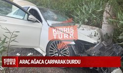 Ciklos’ta Kaza: Araç Ağaca Çarparak Durdu