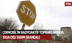 Çernobil’in radyoaktif topraklarında yasa dışı tarım skandalı