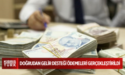 Doğrudan gelir desteği ödemeleri gerçekleştirildi