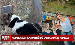 Ceylan Ertem, Hakkari’de sahibinin mezarından ayrılmayan köpeği sahiplendiğini açıkladı