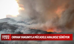 Çanakkale'de orman yangınıyla mücadele aralıksız sürüyor