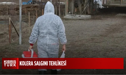 KOLERA SALGINI TEHLİKESİ