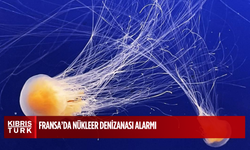 Fransa’da nükleer denizanası alarmı: Dört reaktör kapatıldı