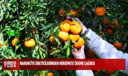 Narenciye üreticilerinden hükümete ödeme çağrısı