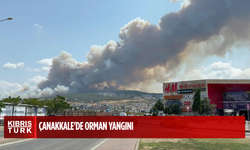 Çanakkale'de orman yangını: Alevler hastaneye yaklaştı