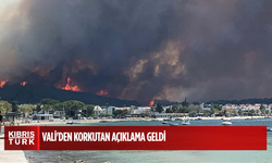 Çanakkale'de Orman Yangını: Gökyüzü ve Deniz Kara Dumanlarla Kaplandı! Vali'den Korkutan Açıklama Geldi