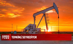 Petrol fiyatları ABD stokları ve Trump-Putin görüşmesi odağında temkinli seyrediyor