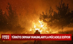 Türkiye orman yangınlarıyla mücadele ediyor