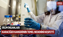 Bilim insanları, karaciğer kanserinin temel nedenini keşfetti