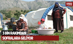 3 bin rakımdan sofralara geliyor: Mesaisi gün doğmadan başlayıp, gece yarısına kadar sürüyor