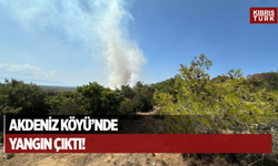Akdeniz köyünde yangın çıktı