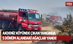 Akdeniz köyündeki yangında 5 dönümlük alandaki ağaçlar yandı