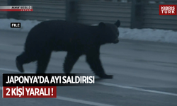 Japonya'da Markete Giren Ayının Saldırısında 2 Kişi Yaralandı