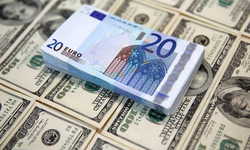 Döviz piyasasında hareketlilik: dolar 42,50 TL’ye yükseldi