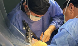 Op. Dr. Çağın Ozankaya uyardı: Midye ve kabuklu deniz ürünler iyi pişse bile zehri yok olmuyor