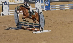 8. Ayak Aner'de koşuluyor