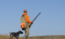 Kanunsuz Avlanma ve Avda Yaralanma Olayı: Bir Kişi Hafif Yaralandı